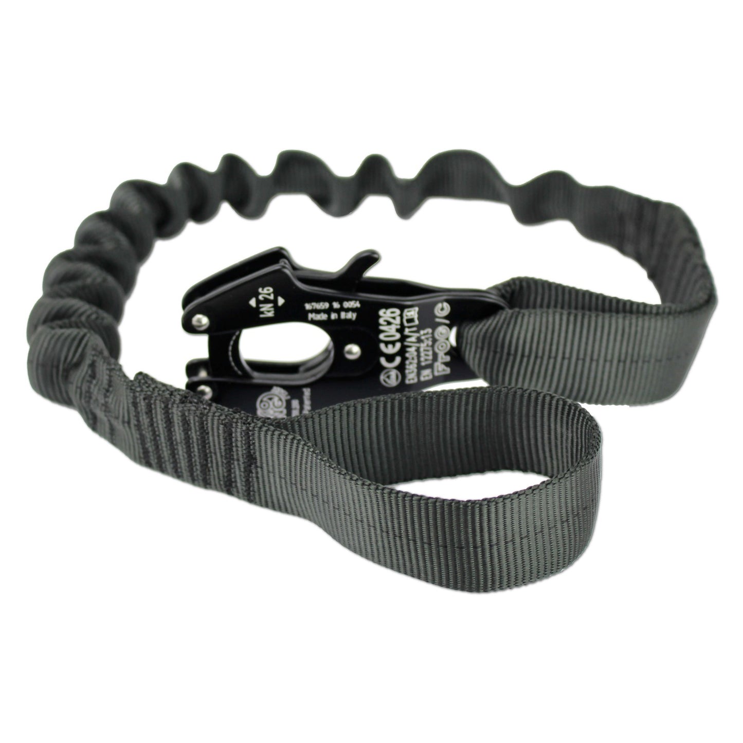 Frog Lanyard
