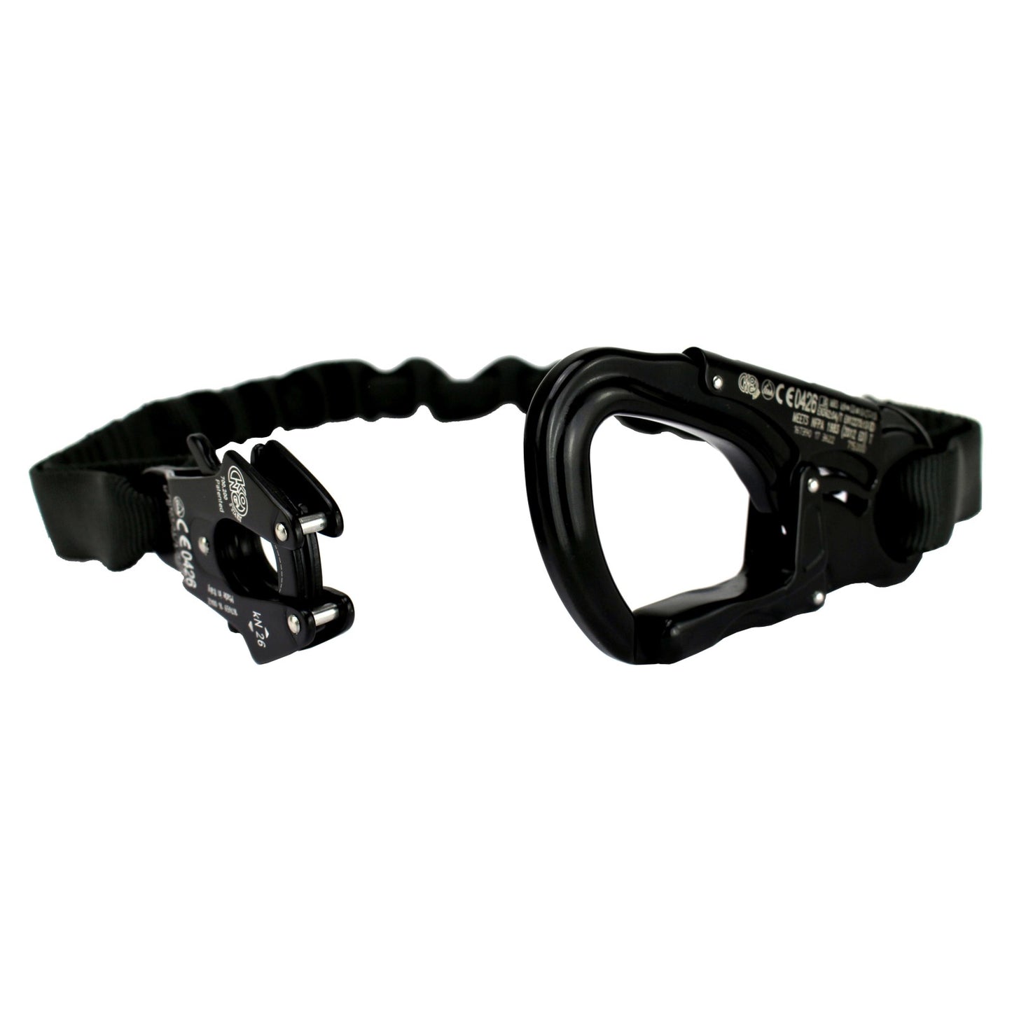 Tango Frog Lanyard