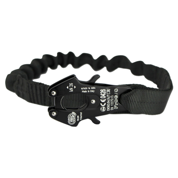 Frog Lanyard